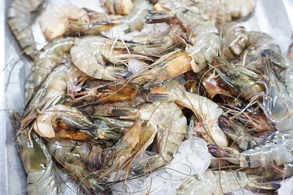 近日,由外省销售到哈尔滨市的速冻虾仁存在被新冠病毒污染风险.